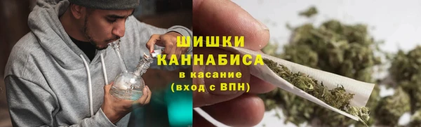 PSILOCYBIN Алзамай