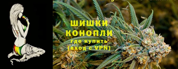 PSILOCYBIN Алзамай