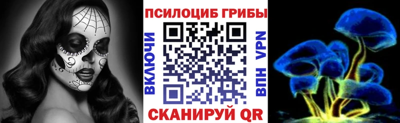 Галлюциногенные грибы прущие грибы  где купить наркоту  площадка как зайти  Щучье 